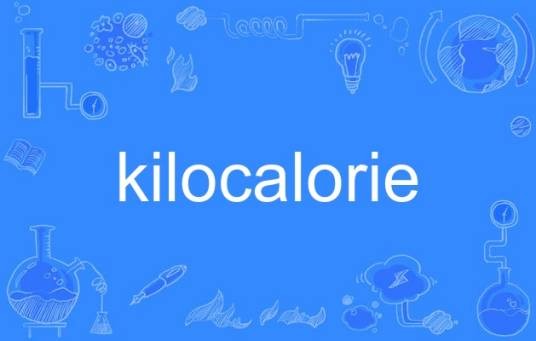 kilocalorie