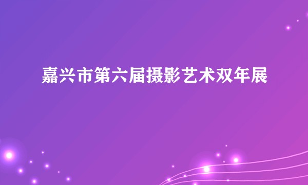 嘉兴市第六届摄影艺术双年展