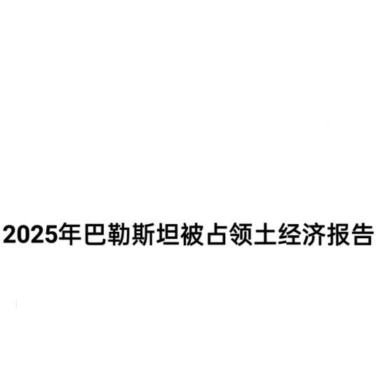 2025年巴勒斯坦被占领土经济报告