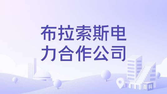 布拉索斯电力合作公司