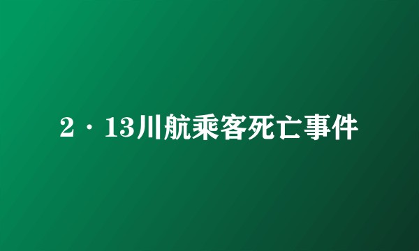 2·13川航乘客死亡事件