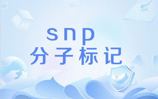 snp 分子标记