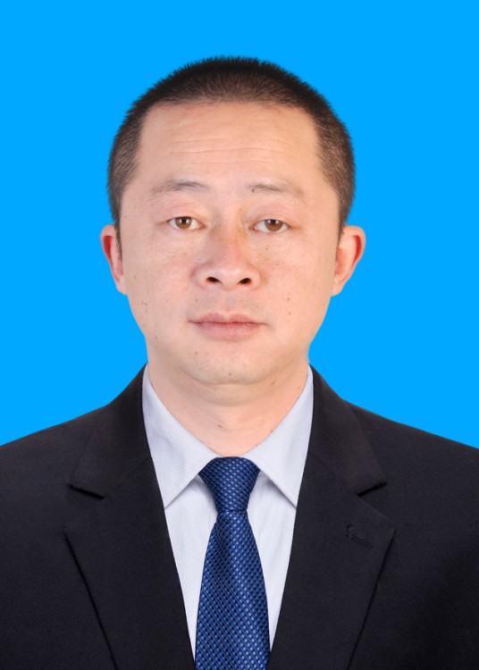 陈良玉（江西省九江市彭泽县芙蓉墩镇党委书记）