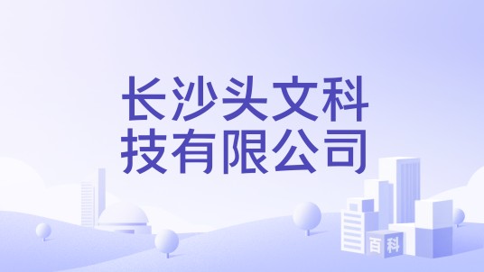 长沙头文科技有限公司