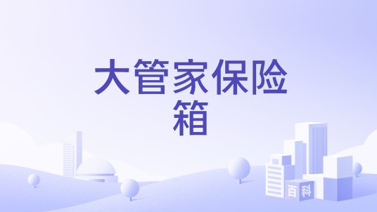 大管家保险箱