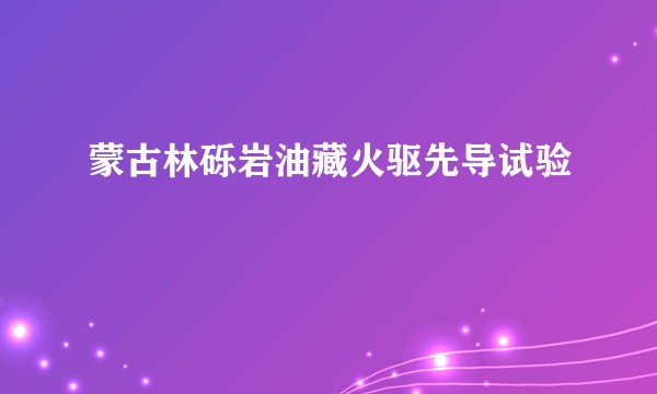 蒙古林砾岩油藏火驱先导试验