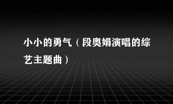 小小的勇气（段奥娟演唱的综艺主题曲）