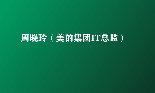 周晓玲（美的集团IT总监）