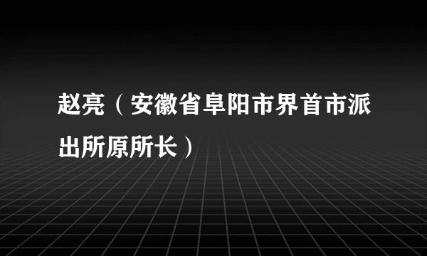 赵亮（安徽省阜阳市界首市派出所原所长）