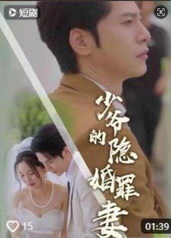 少爷的隐婚罪妻