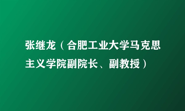 张继龙(合肥工业大学马克思主义学院副院长、副教授)