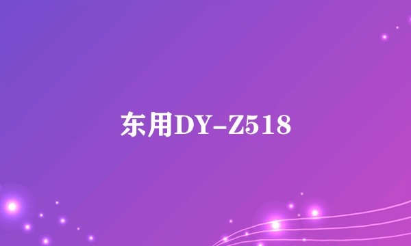 东用DY-Z518