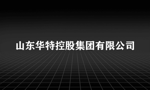 山东华特控股集团有限公司