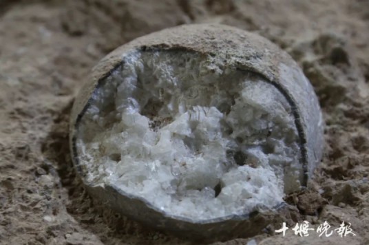 结晶恐龙蛋化石