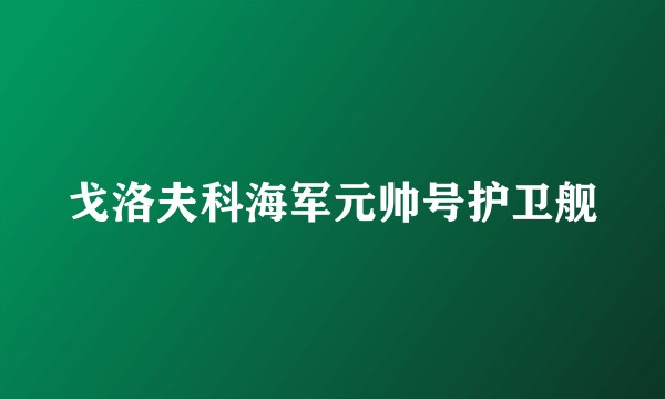 戈洛夫科海军元帅号护卫舰