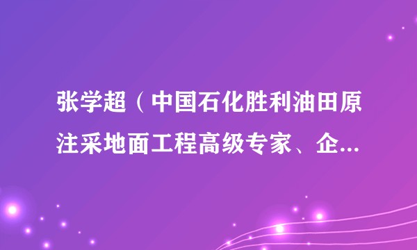 张学超（中国石化胜利油田原注采地面工程高级专家、企管法规部经理）