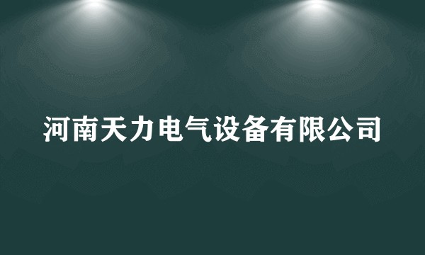河南天力电气设备有限公司