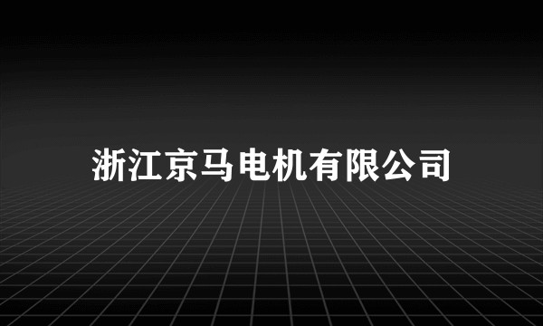 浙江京马电机有限公司