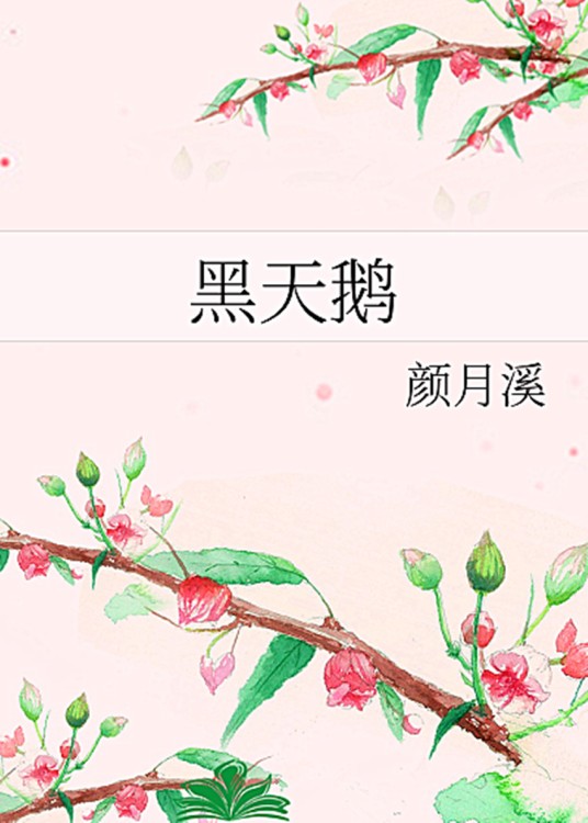 黑天鹅（颜月溪创作的网络小说）