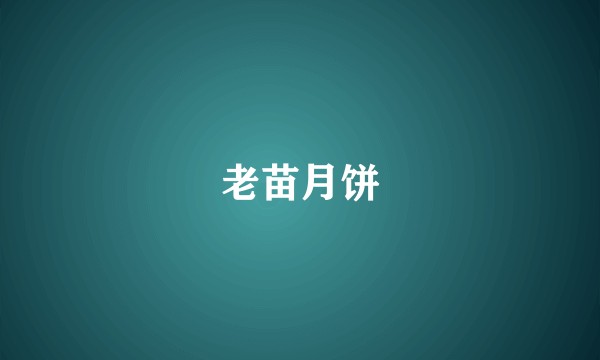 老苗月饼