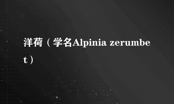洋荷（学名Alpinia zerumbet）