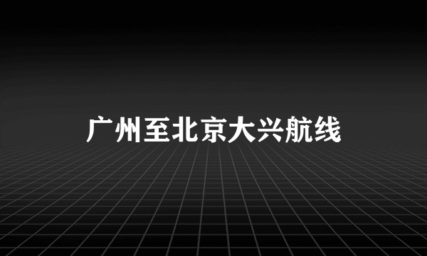 广州至北京大兴航线