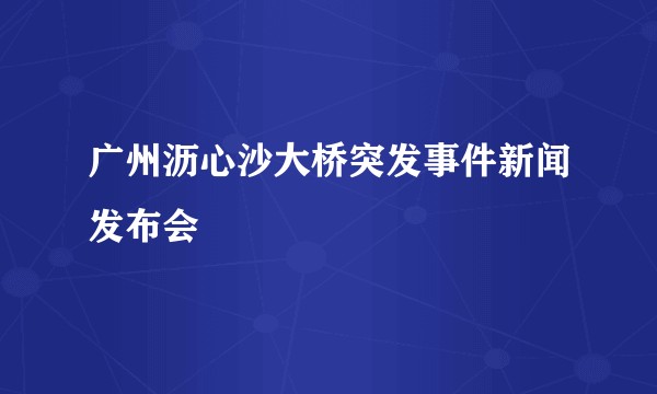 广州沥心沙大桥突发事件新闻发布会