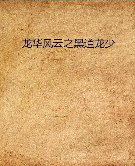 龙华风云之黑道龙少