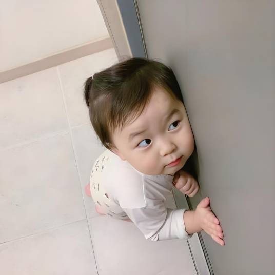 狸子