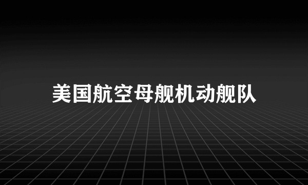 美国航空母舰机动舰队