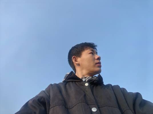董洋（中国内地导演）