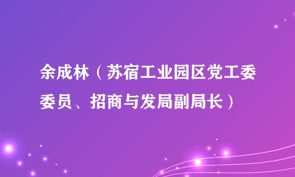 余成林（苏宿工业园区党工委委员、招商与发局副局长）