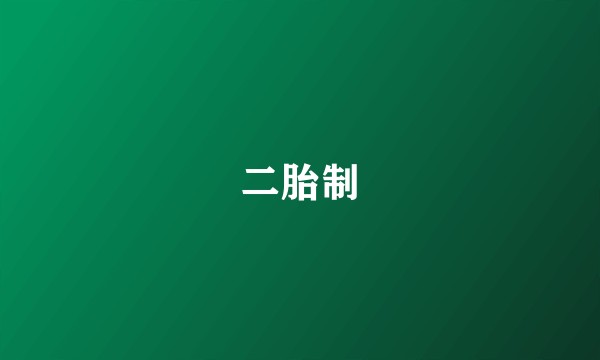 二胎制