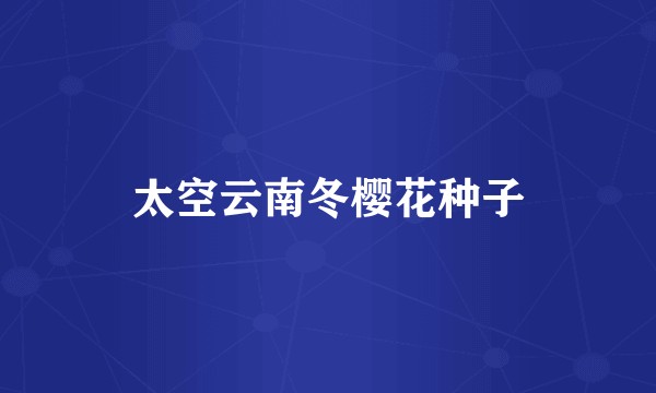 太空云南冬樱花种子