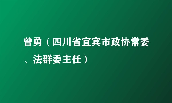 曾勇（四川省宜宾市政协常委、法群委主任）
