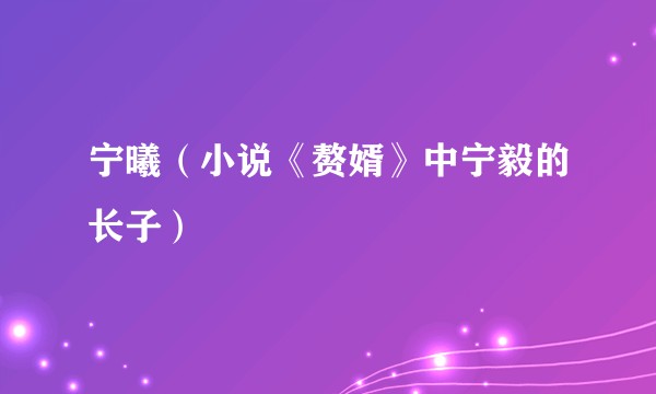 宁曦（小说《赘婿》中宁毅的长子）