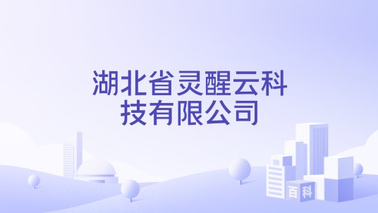 湖北省灵醒云科技有限公司