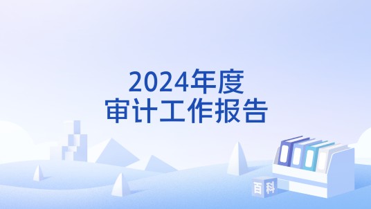 2024年度审计工作报告