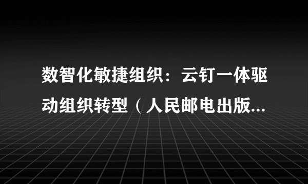 数智化敏捷组织：云钉一体驱动组织转型（人民邮电出版社出版的图书）