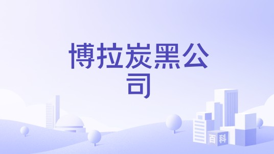 博拉炭黑公司