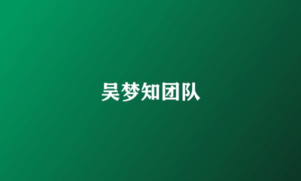 吴梦知团队