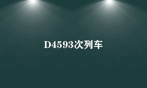 D4593次列车