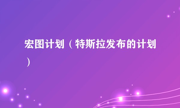 宏图计划（特斯拉发布的计划）