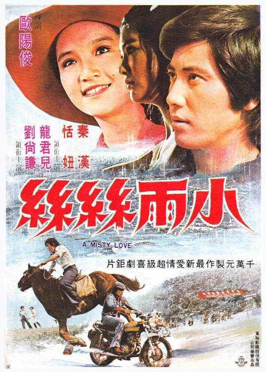 小雨丝丝（蔡扬名执导的1977年中国台湾爱情电影）