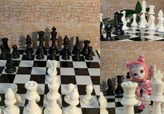 爱丽丝象棋