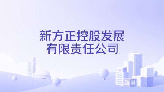 新方正控股发展有限责任公司