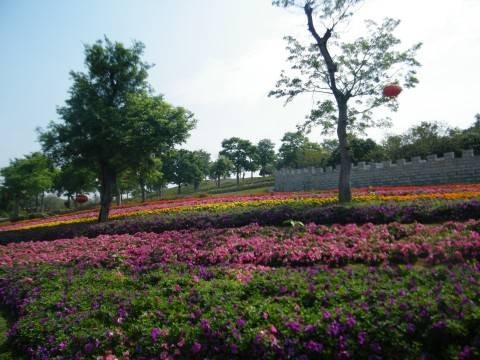 东莞松湖蝶恋生态园