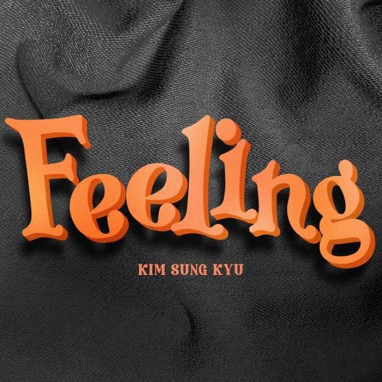 feeling（2024年金圣圭演唱歌曲）