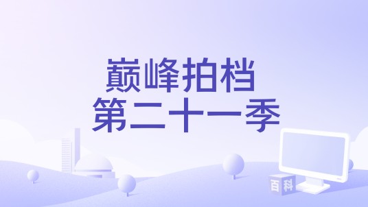 巅峰拍档 第二十一季