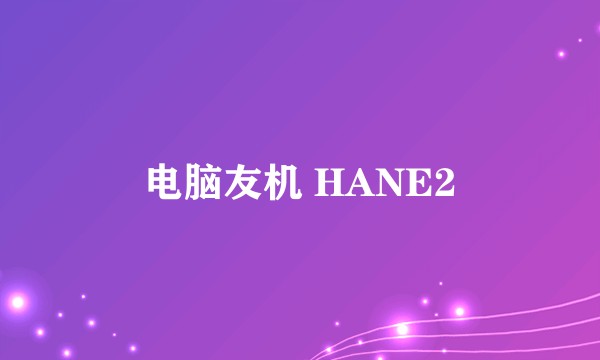 电脑友机 HANE2